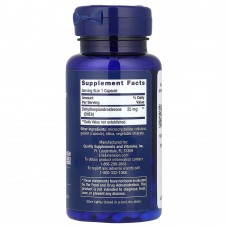 Life Extension, ДГЭА, 25 мг, 100 капсул